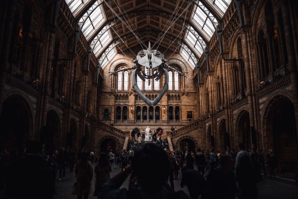 The British Museum - 10 Most Famous Museums