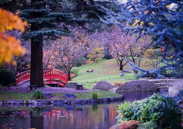 The Albert Kahn Museum and Gardens: A Multicultural Oasis in Paris