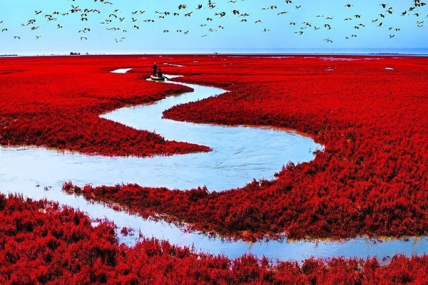 the Red Beach - Colour-inspired Destinations