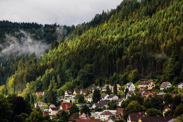 Black Forest, Germany -  Colour-inspired Destinations
