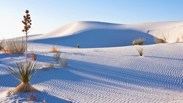 White Sands National Park, USA - Colour-inspired Destinations